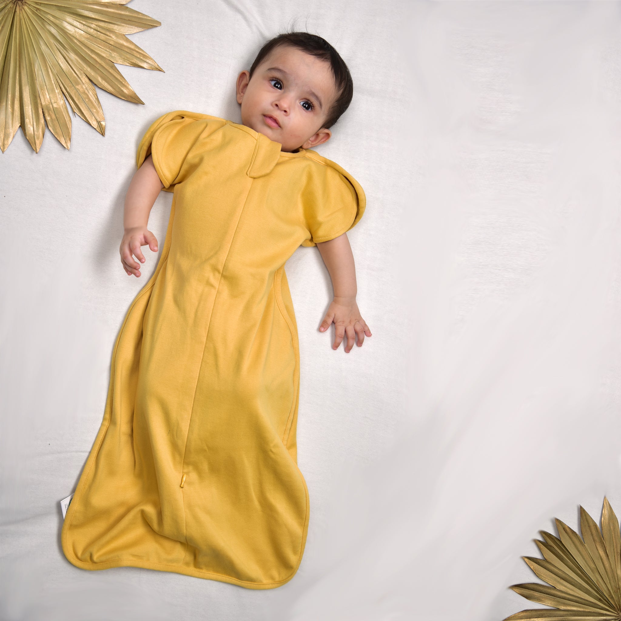 YOLK YELLOW TRANSITIONAL POD