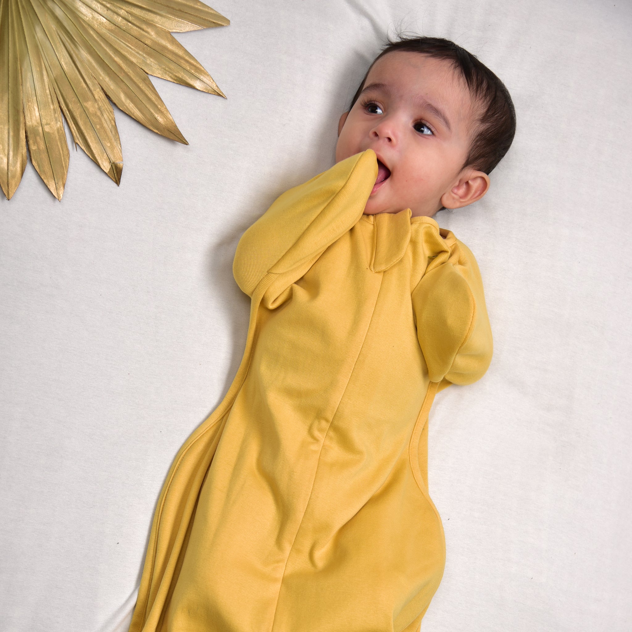 YOLK YELLOW TRANSITIONAL POD